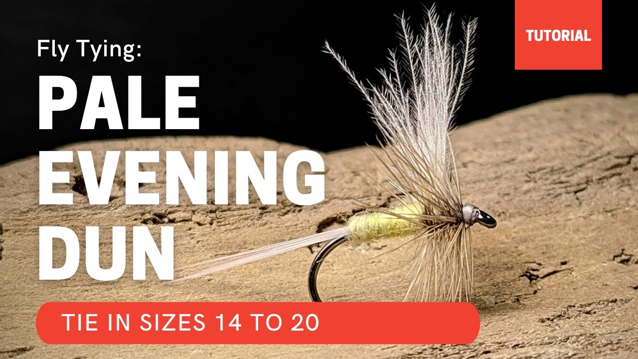 PALE EVENING DUN fly pattern