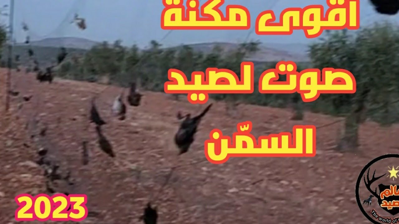 تجريب اقوى مكنة(جهاز صوت) لصيد السمّن 💪💪