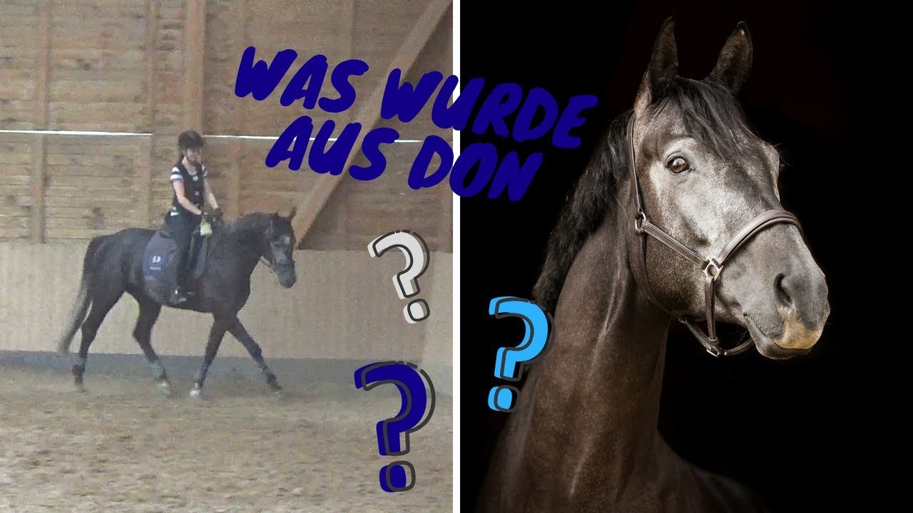 Zwangspause - Was ist mit Don? 🤔
