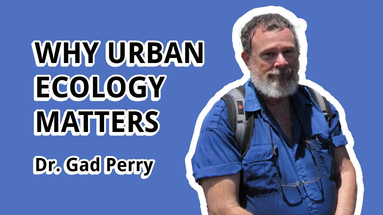 AWI H.U.B. Talks Series - Gad Perry: 