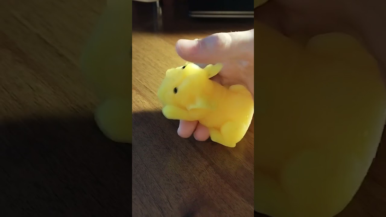 Как ухаживать за собачками 😘