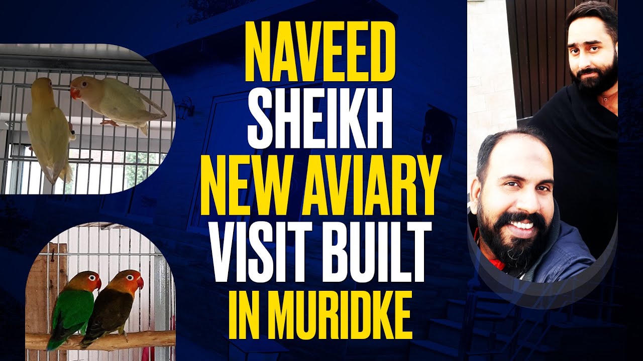 Naveed Sheikh New Aviary Visit, Built In Muridke