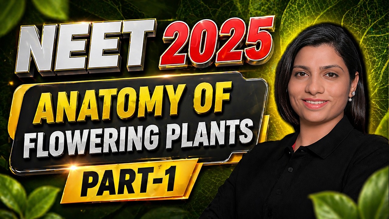 NEET 2025 | Anatomy Of Flowering Plants | Part-1 | NEET Biology Revision | Ritu Rattewal Ma'am