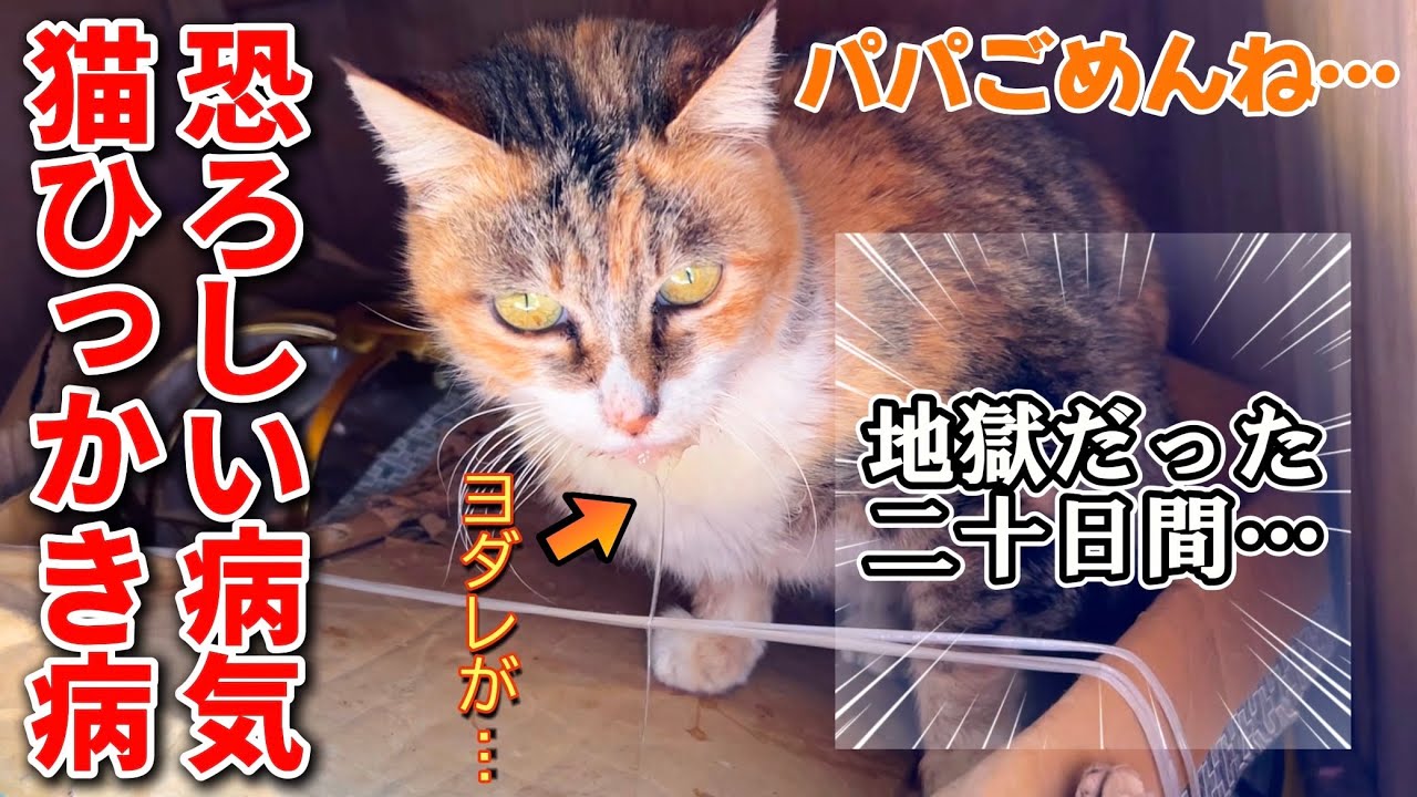 パパの謎の熱の原因がこの子だったなんて…