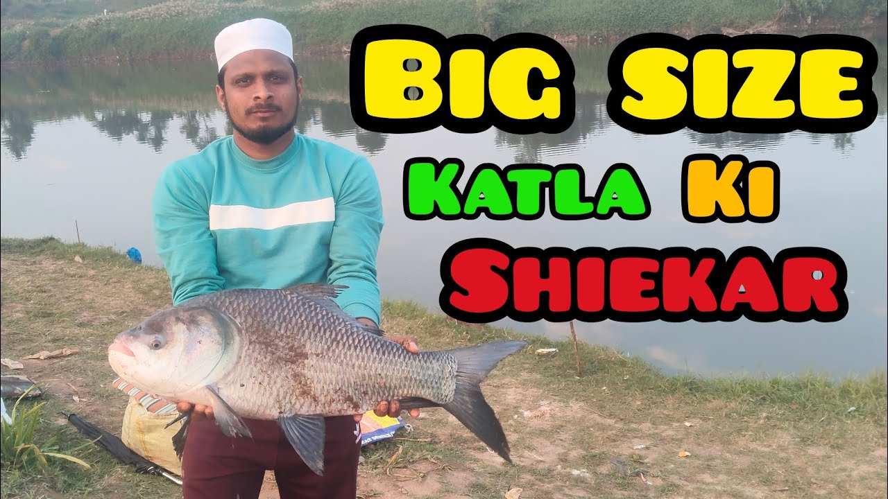 Big Size Katla Ki Shiekar