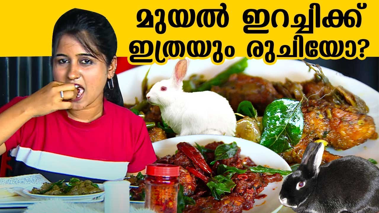 മുയൽ ഇറച്ചിക്ക് ഇത്രയും രുചിയോ? | THE MUYAL RESTAURANT | Street food