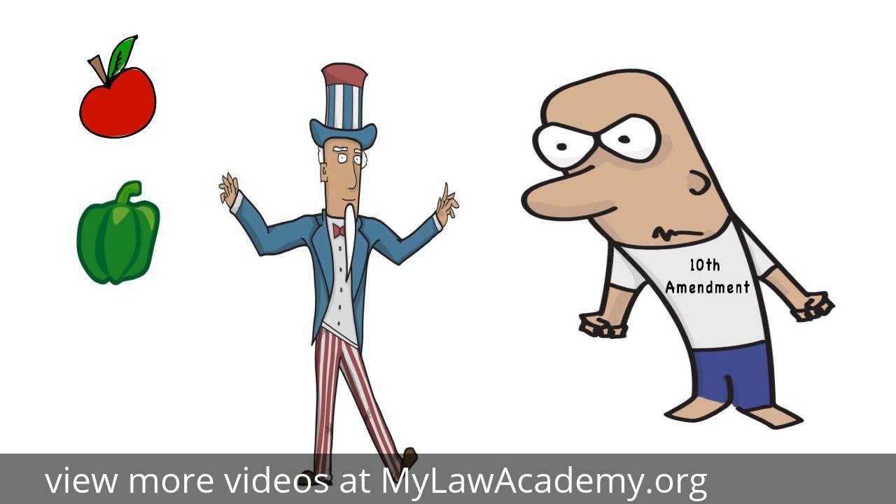 Con Law: Tax & Spending Power