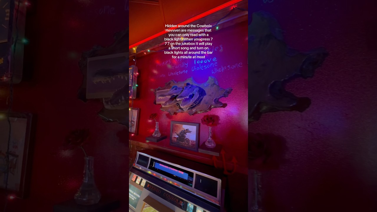 Two helpful items to get before heading to Meow Wolf Houston #meowwolf #meowwolfhouston