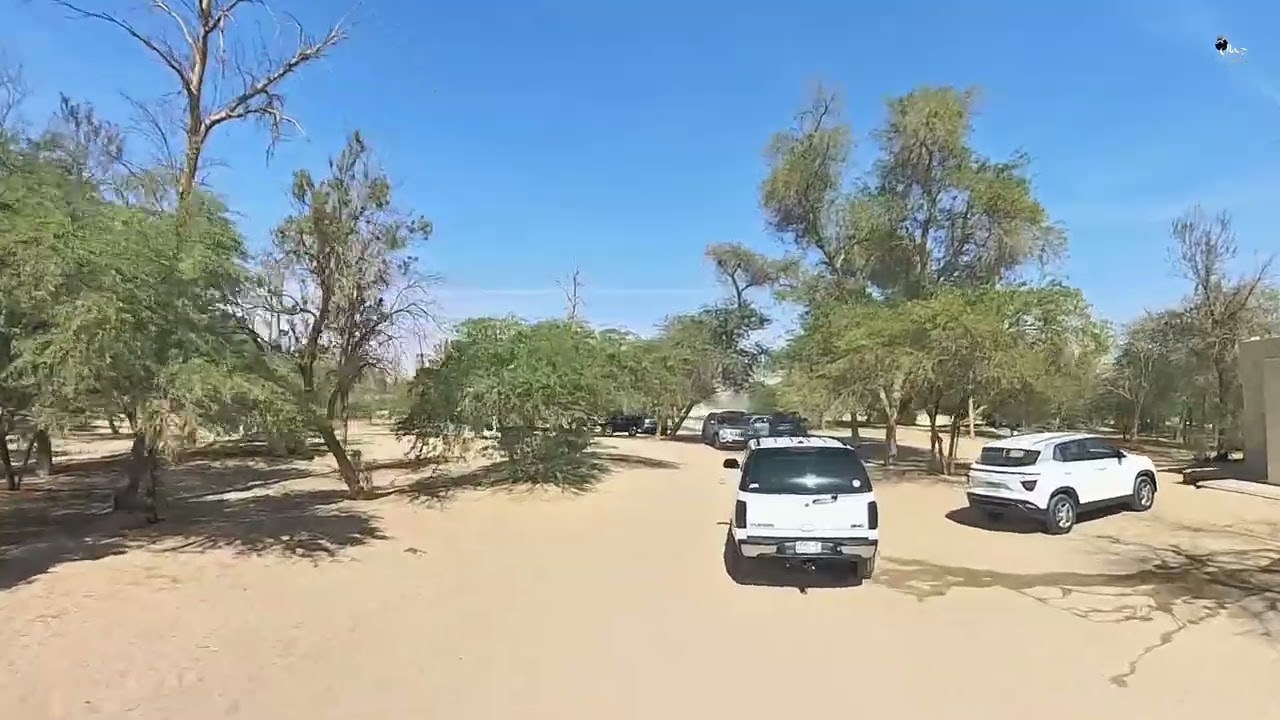 تصوير منتزه الاحساء الوطني 