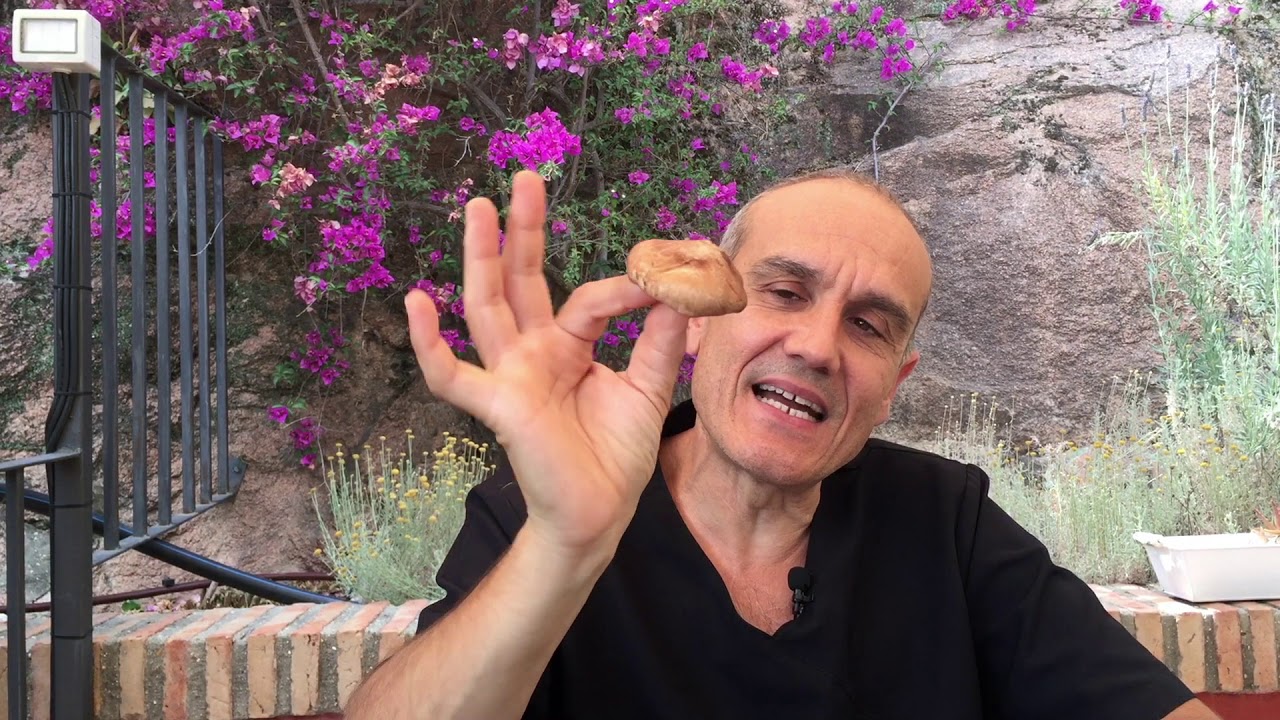 VUELVE INTELIGENTE A TU SISTEMA INMUNE