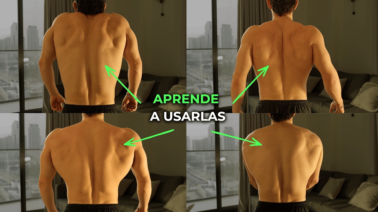 Nadie te explicó esto sobre tus escápulas (y por eso no progresas)