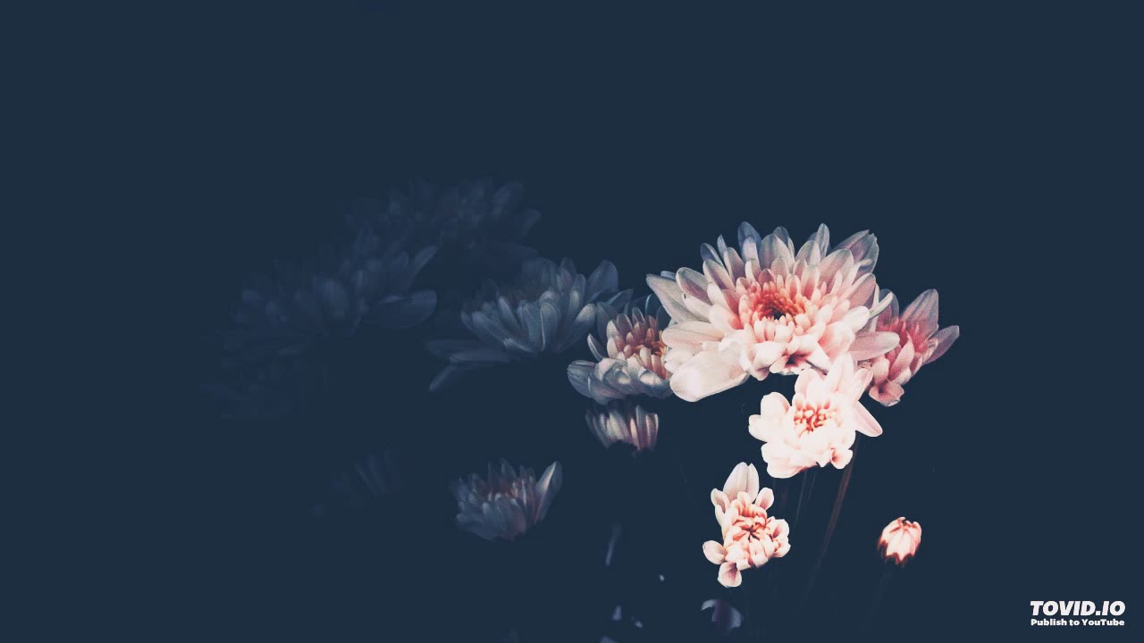 Main bolya || Rabbi Shergill