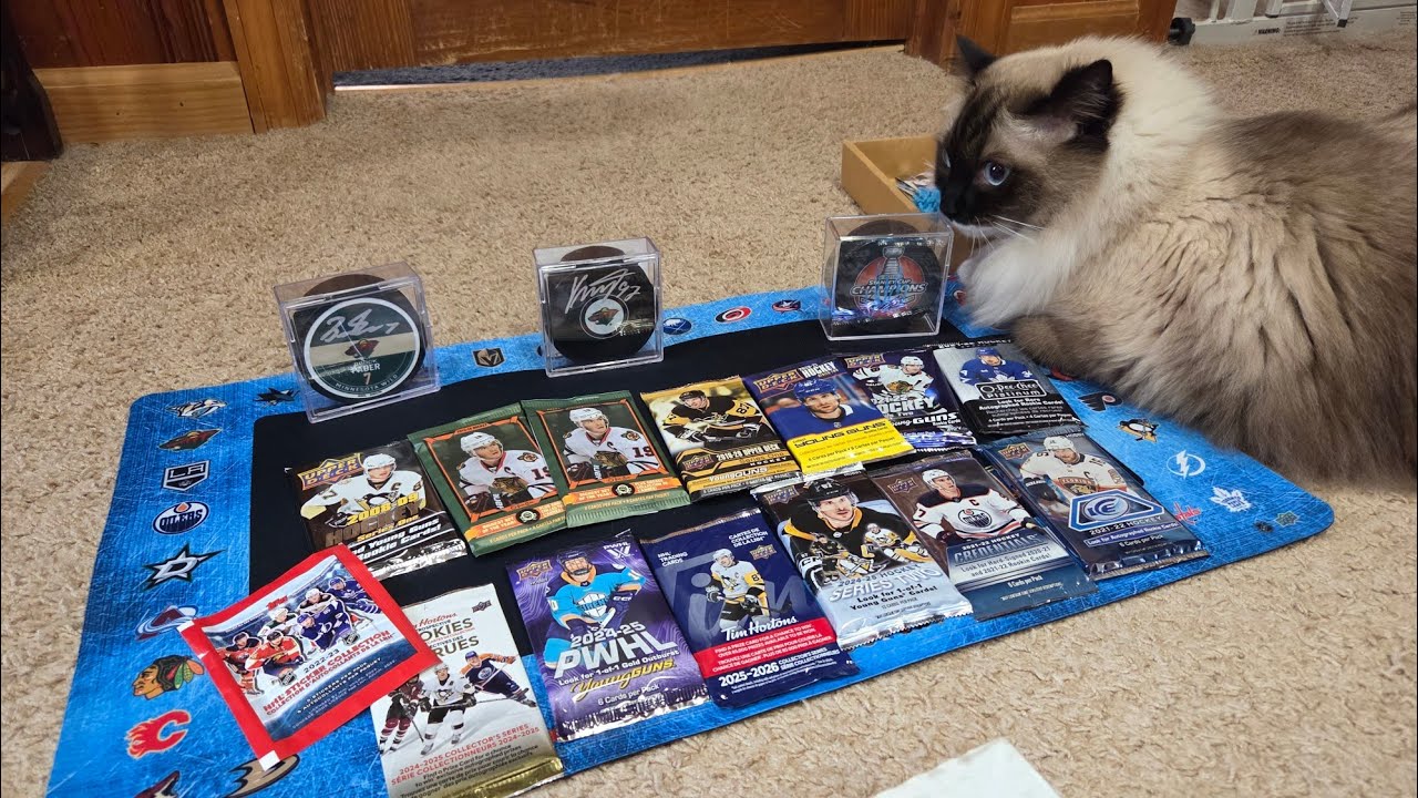 Hockey Loose Packs #56. 