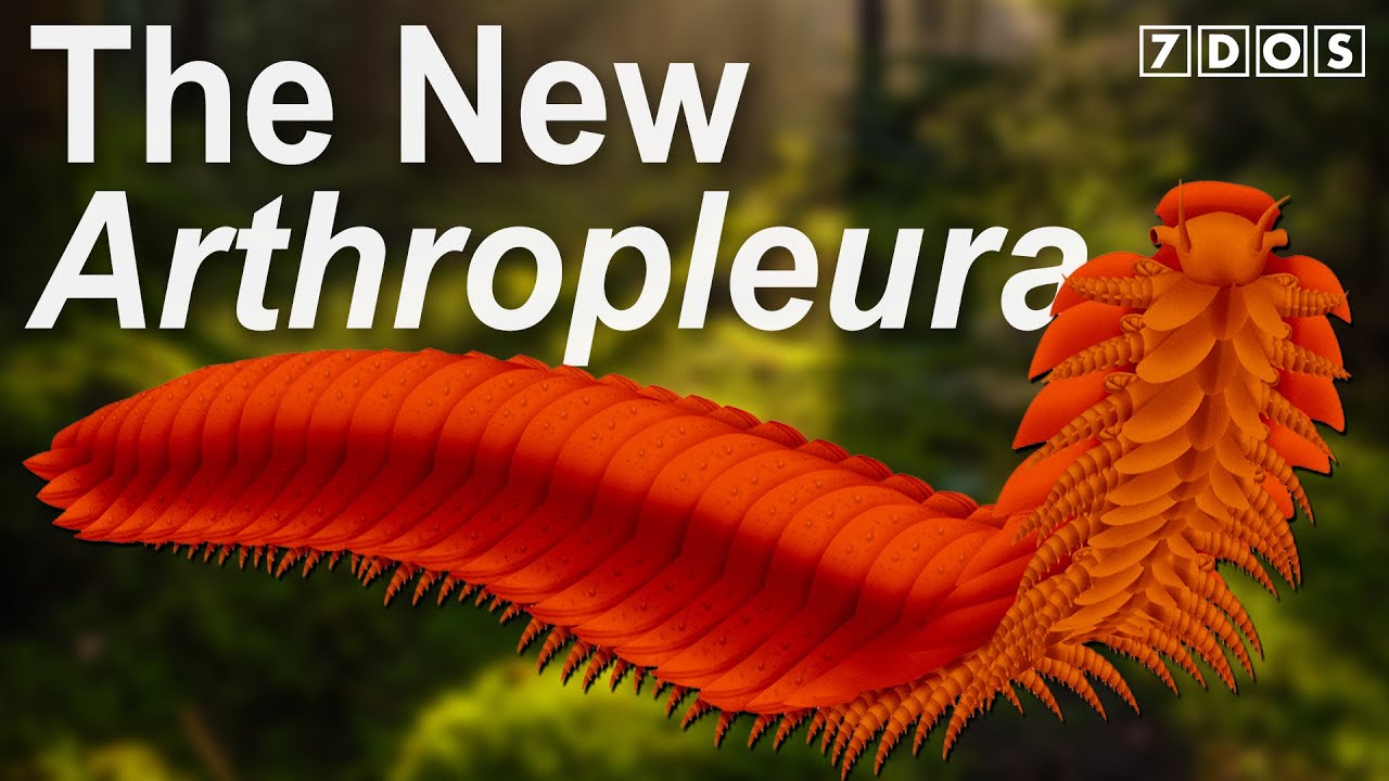 The New Look of Arthropleura - The Giant Prehistoric Millipede | 7 Days of Science