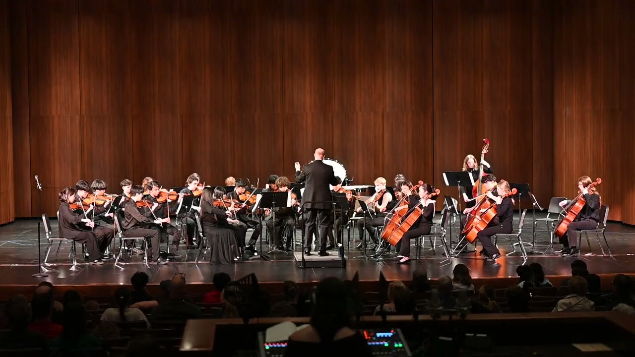 THS Orchestra Spring Concert - Chamber Orchestra - 