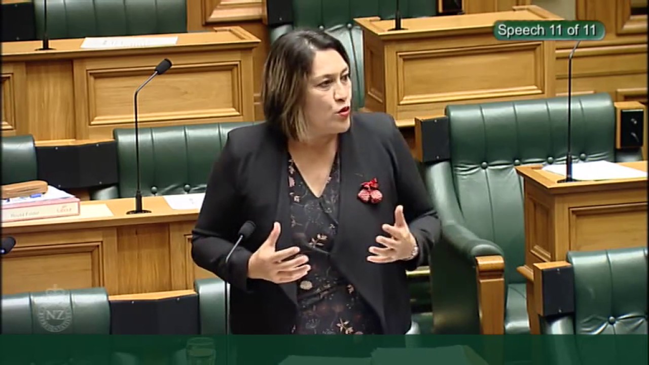 Electoral (Registration by Special Vote) Amendment Bill- First Reading - Video 11