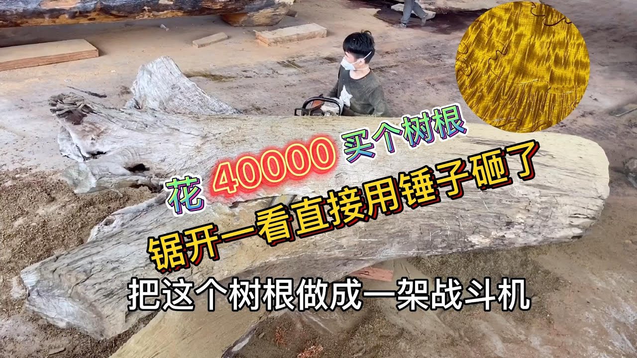 4万买个战斗机形状的树根，锯开一看直接用锤子砸了，最后还赚钱