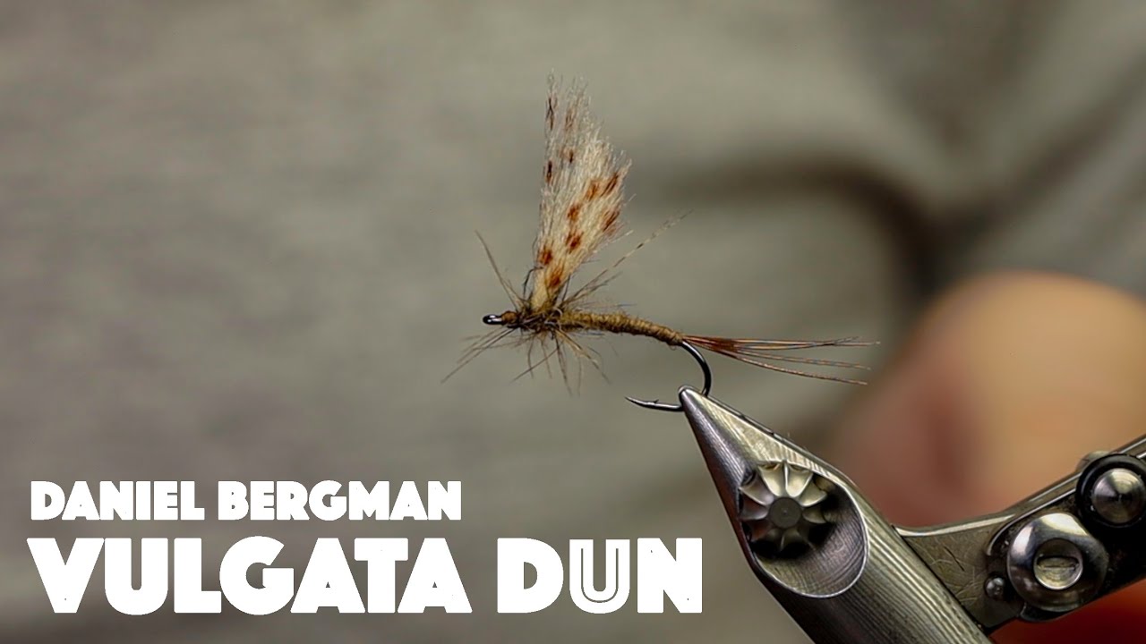 Vulgata Part 2. The Dun version by Daniel Bergman