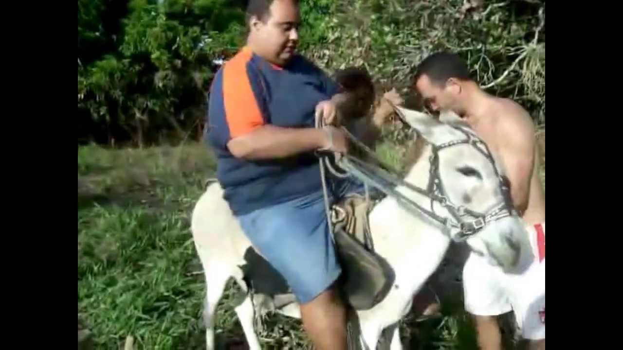 Gordos Fazendo Gordices - Narrado Pelo Google Tradutor / Legal Fera