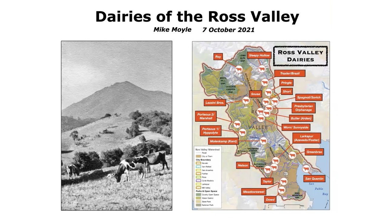 Dairies of the Ross Valley [Mike Moyle]