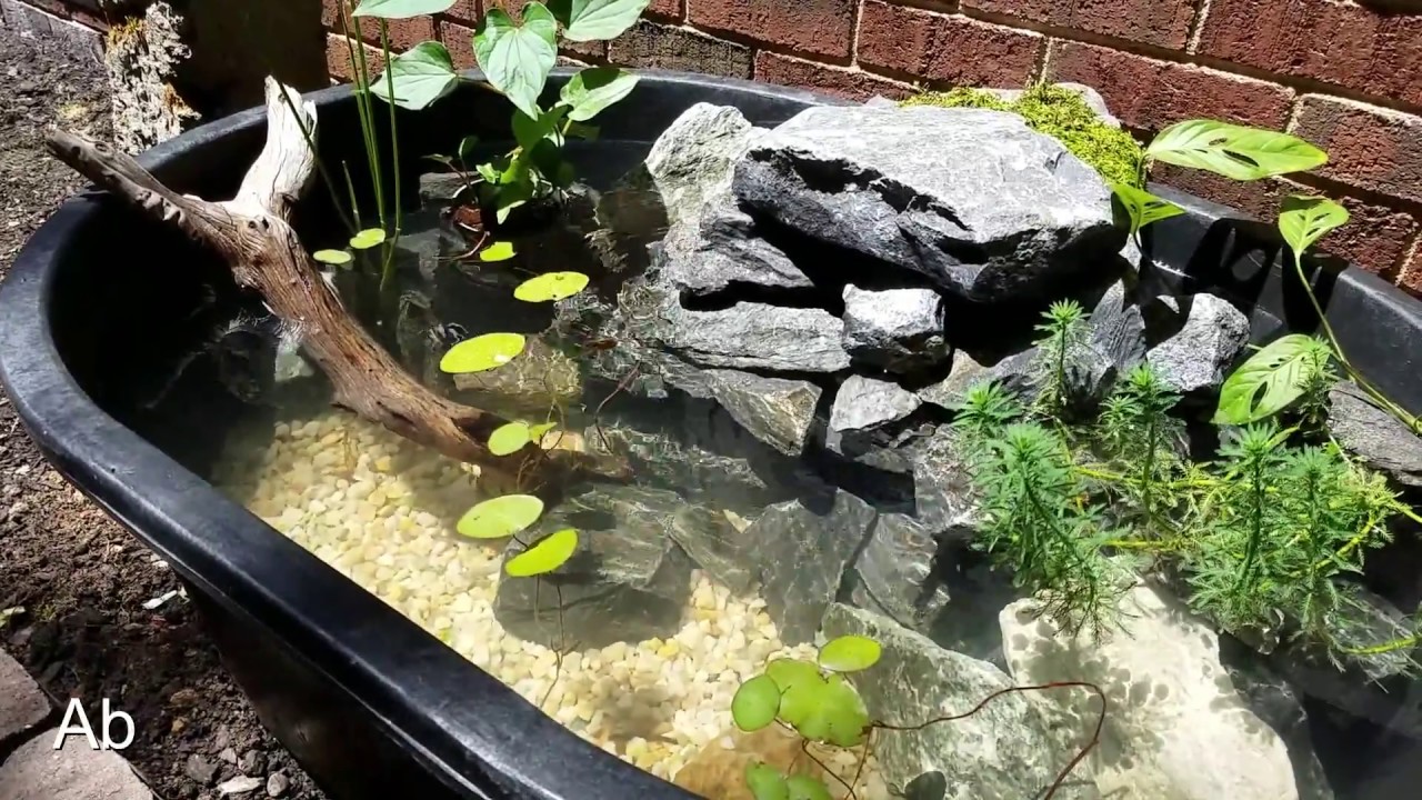 40 Gallon Stock Tank Pond Build - Under $100