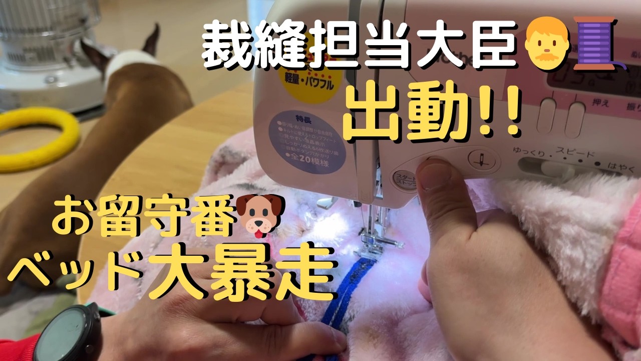 裁縫担当大臣👨‍🧵出動します。花ちゃんのベッド問題