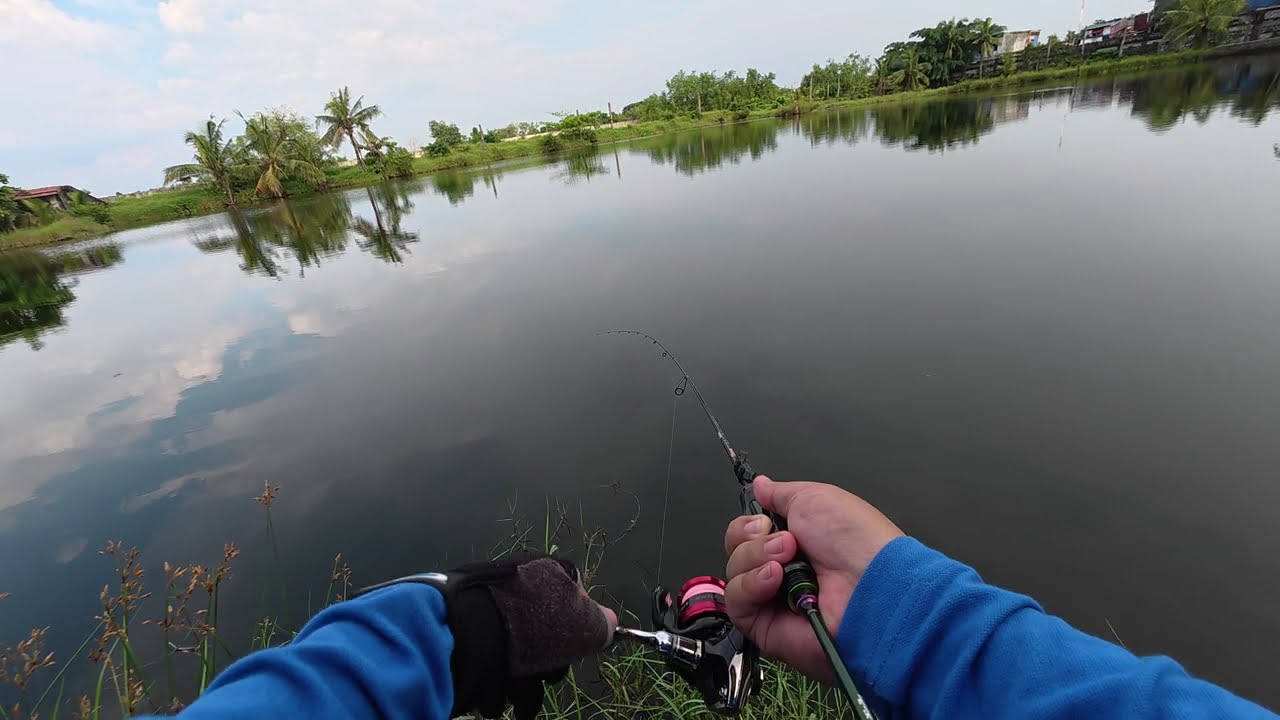 Barramundi on 1lb line at our favorite pond