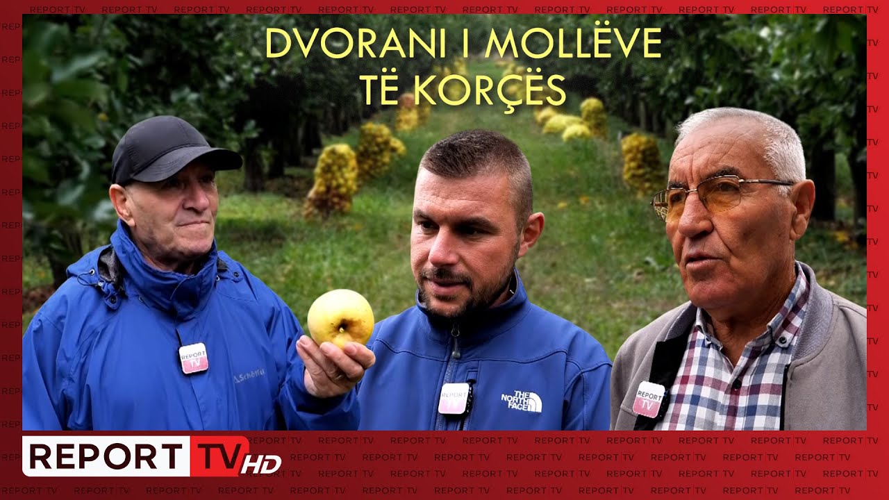 Dvorani i moll&euml;ve t&euml; Kor&ccedil;&euml;s, nj&euml; histori suksesi n&euml; sezonin e art&euml; t&euml; Gold dhe Starking l VERI JUG