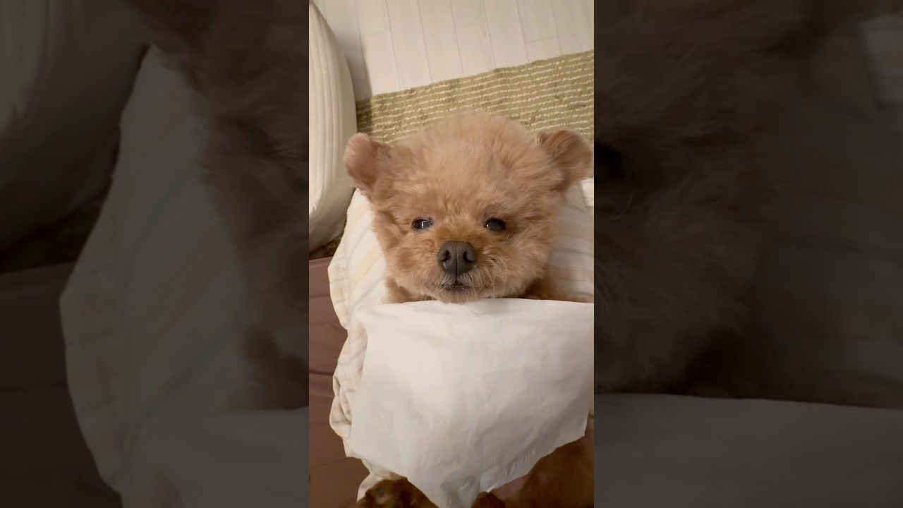 안약 넣기 전, 숨소리 asmr