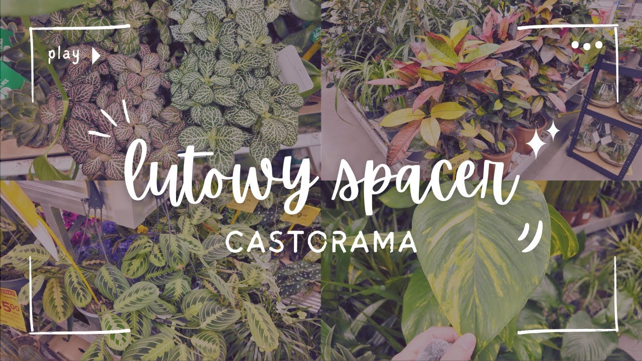 🌿 PIERWSZY ROŚLINNY SPACER PO CASTORAMIE 💚CO ZNALAZŁAM I CO KUPIŁAM? 🌱 WALENTYNKOWA DOSTAWA 💐