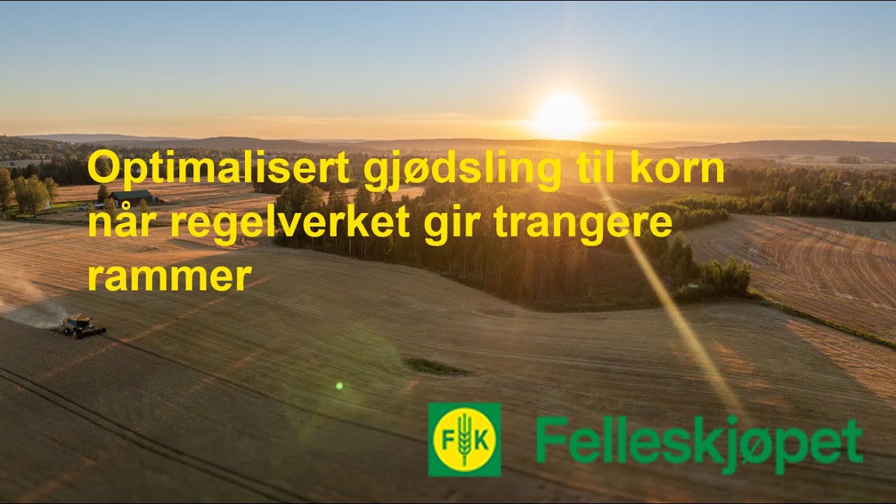 Optimalisert gjødsling til korn når regelverket gir trangere rammer