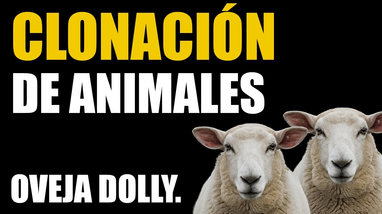 🐑 El SECRETO de la CLONACIÓN explicado en 10 minutos | La historia de la OVEJA DOLLY 🧬