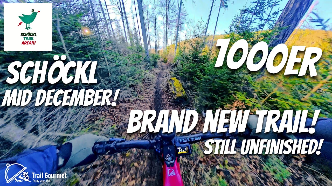 New Schöckl single trail: 1000er | Fresh endless loamer! And still only 50% completed! YT Decoy