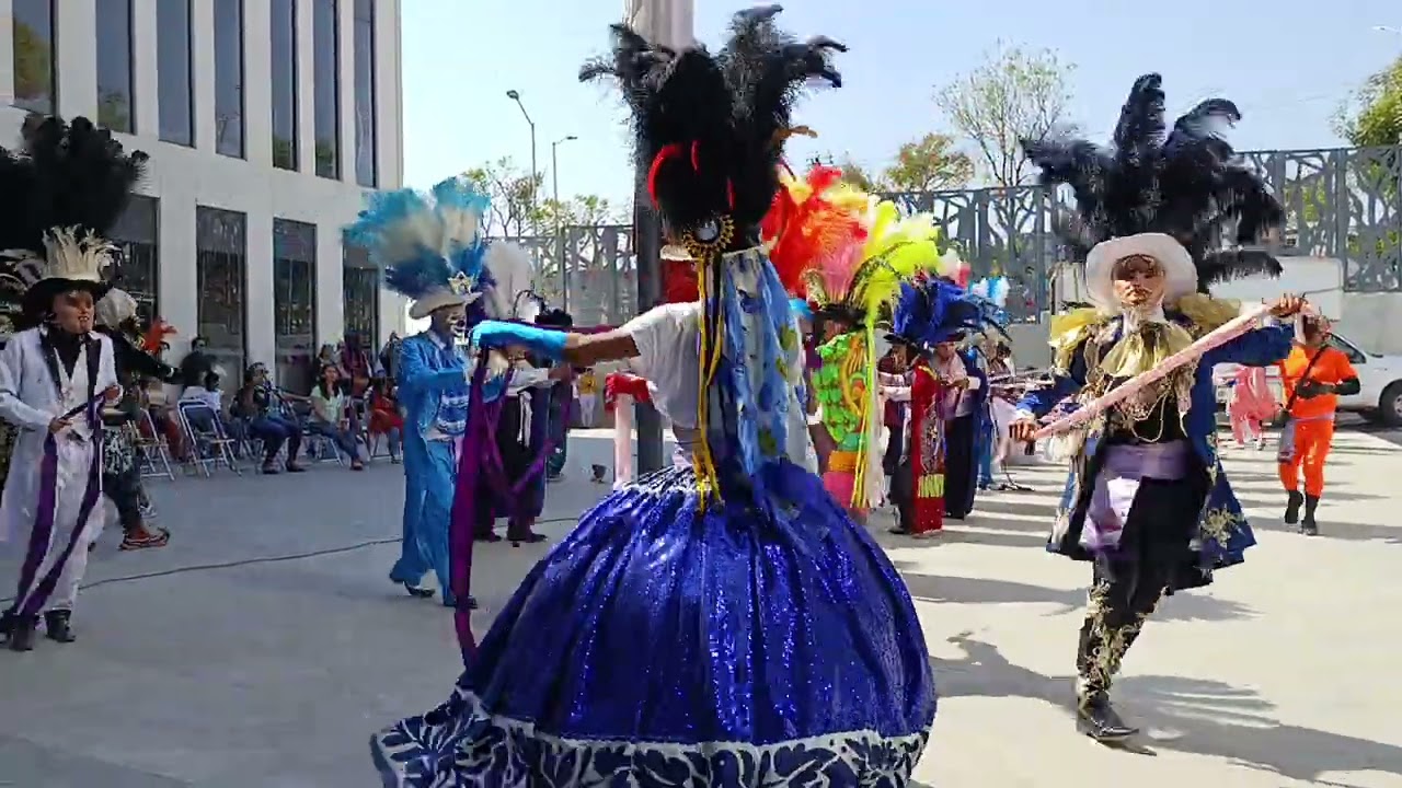 Huehues ANALCO LA 7 