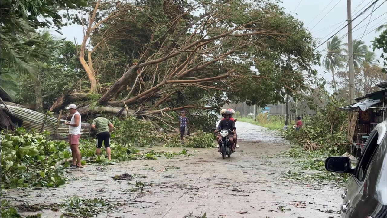  Typhoon Tino | Ormoc City November 4 2025