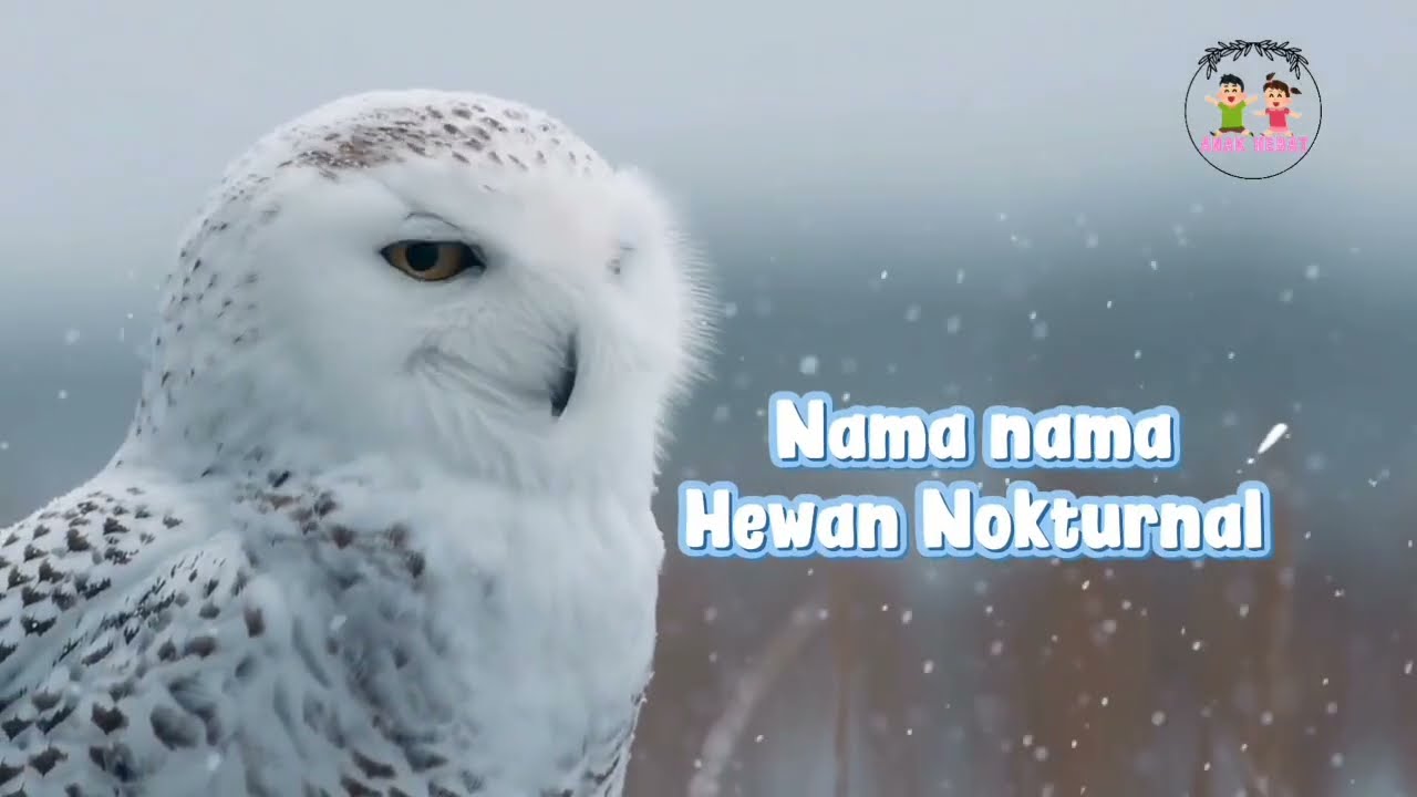 Nama nama Hewan Nokturnal🦉#videoviral #fypシ #hewanbesar #ular #quiz 