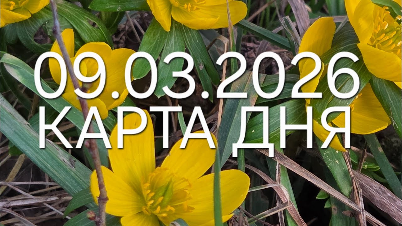 09 марта 2026 | карта дня | все знаки зодиака 🃏🍀💫