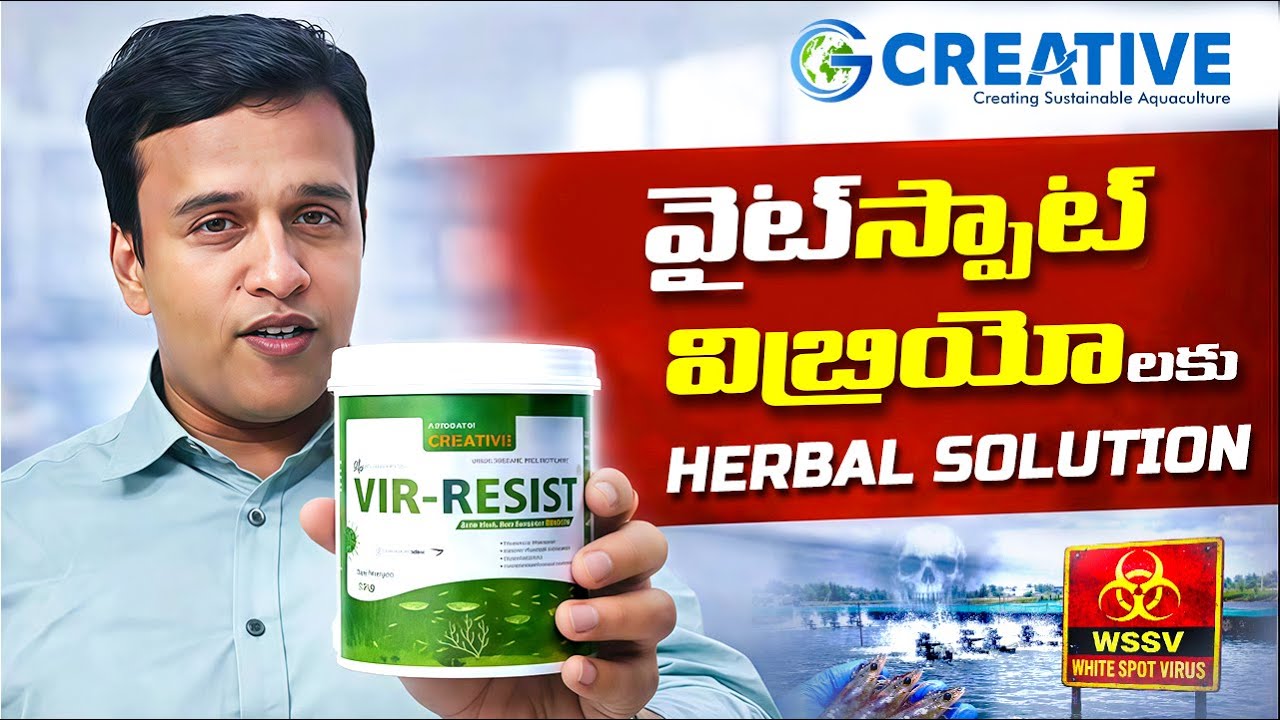 వైట్ స్పాట్ & విబ్రియోలకు హెర్బల్ సొల్యూషన్ | VIR-RESIST | Creativegreeninventions