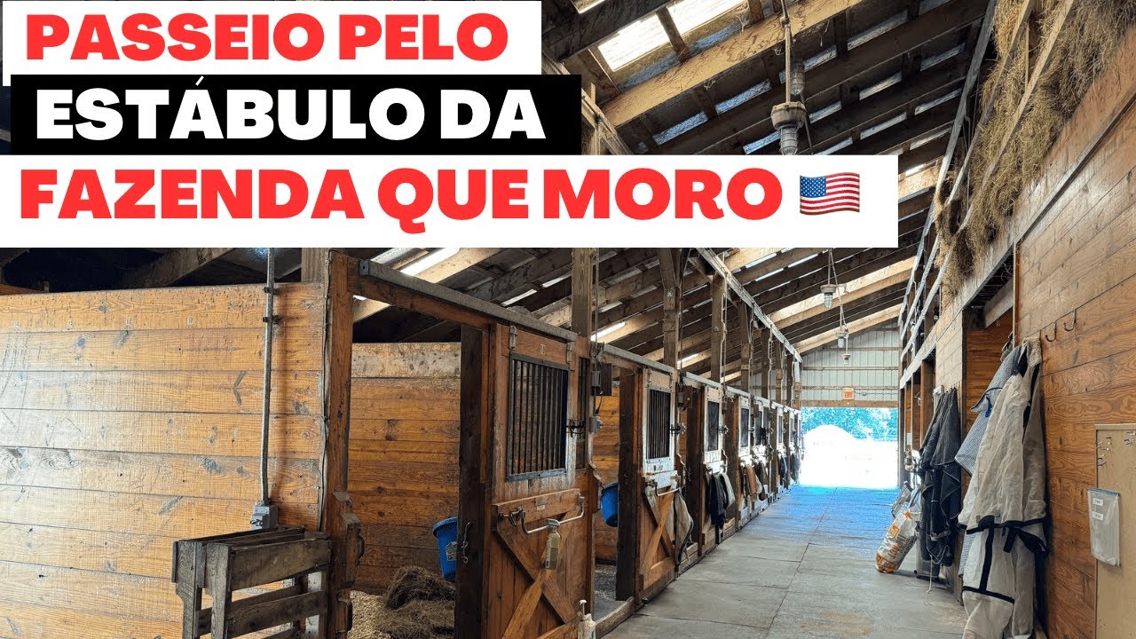 A ARENA FICOU PRONTA E FUI CONFERIR DE PERTO.