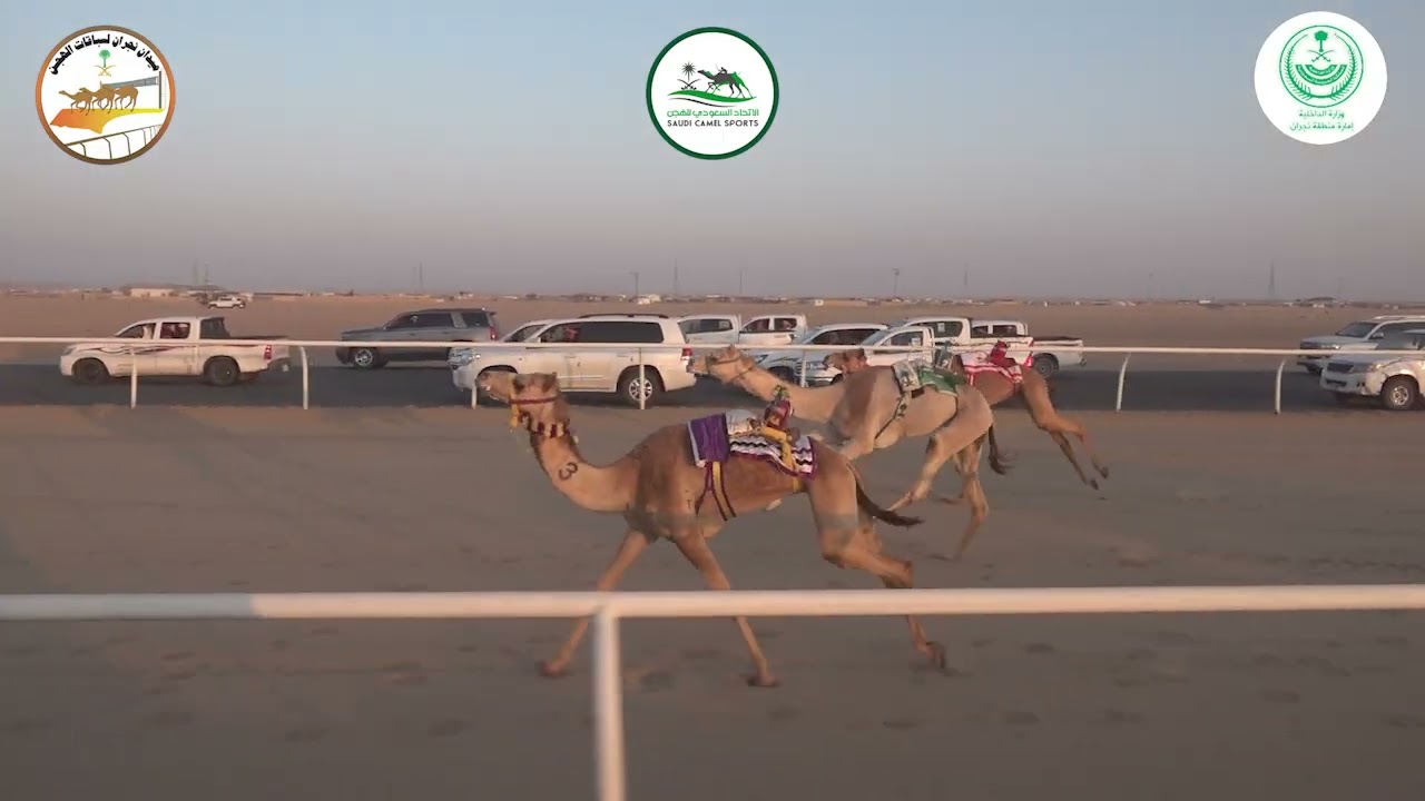 3/ بكار لقايا/ 4000م / سلطه / عوض بن صالح بن عفيشه
