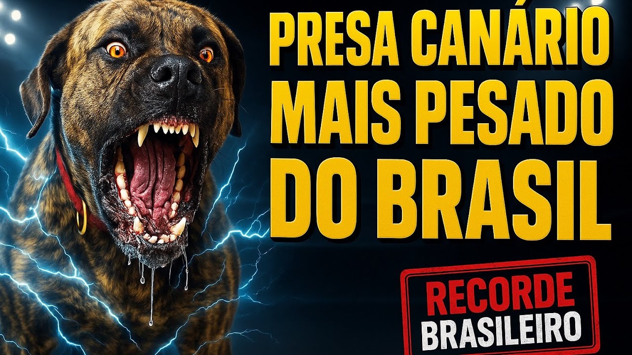 EU TENHO E POSSO PROVAR NA BALANÇA | CANE CLUB KENNEL