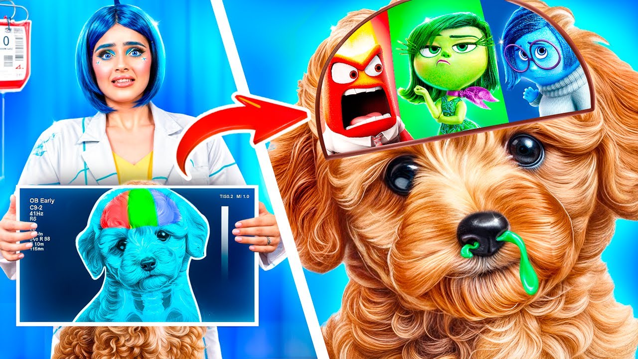 Extreme Pet Rescue in Hospital! Inside Out 2 in Hospital!