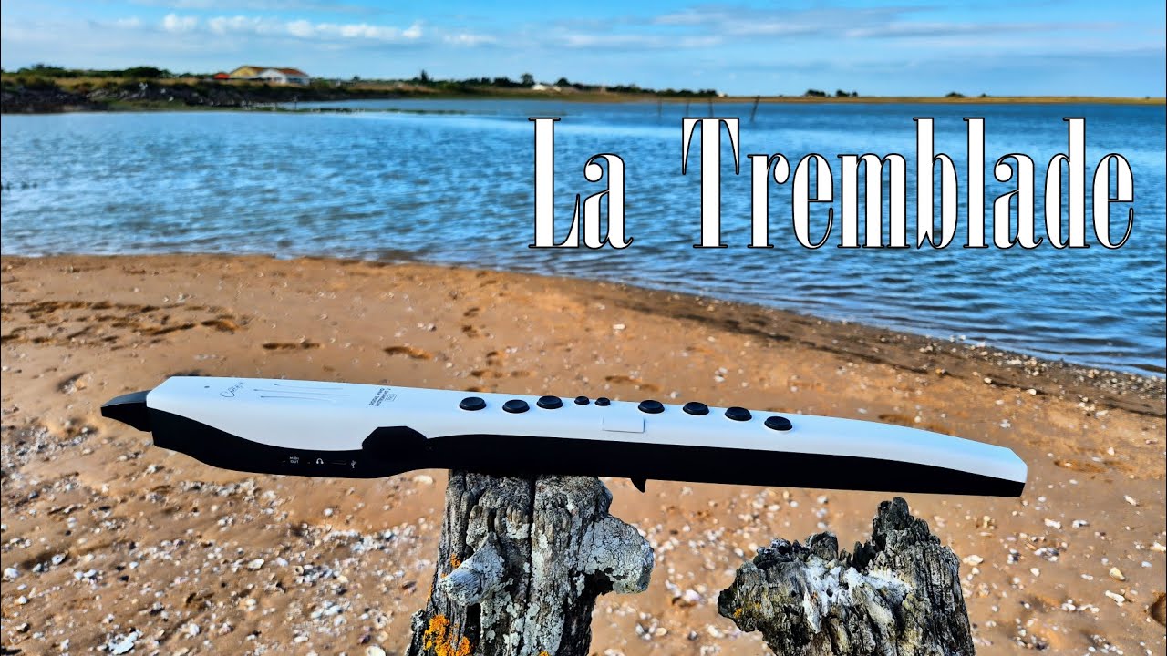 La Tremblade - The Magic Flute avec Christoph Willi Müller et Henry Purcell - Muscheln Shell Moules