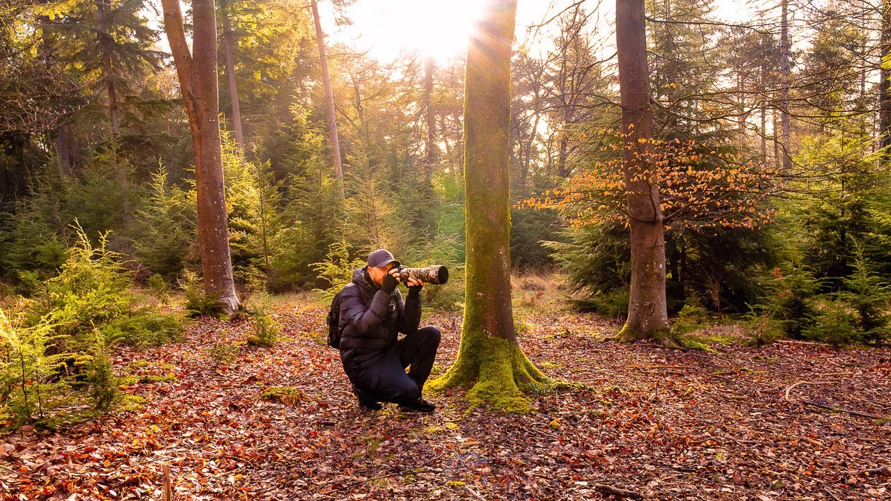 Wildlife Photography | Camping In The New Forest | Day 3