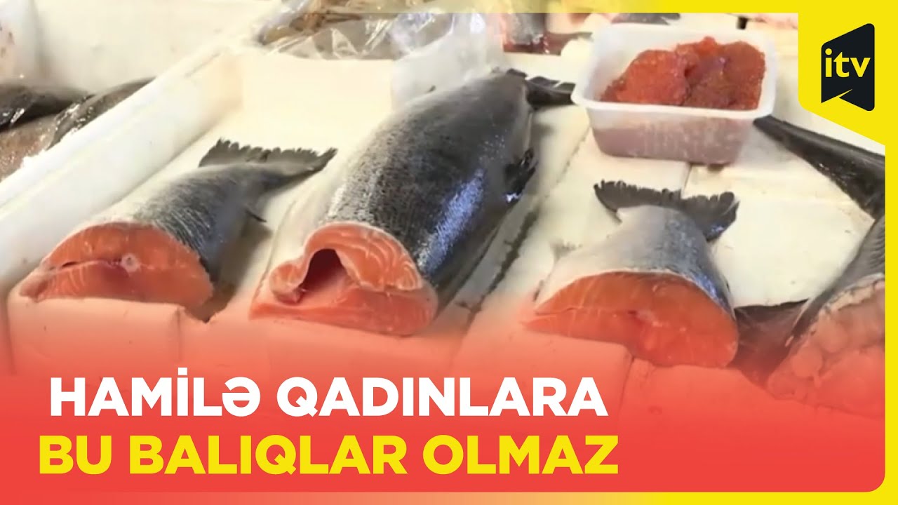 Balıq alarkən nəyə diqqət edək?