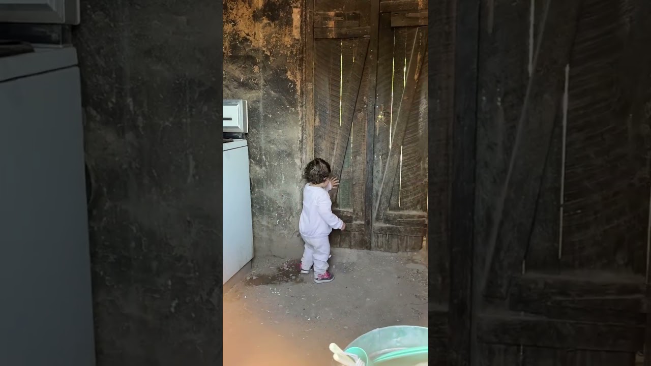 Faviola Lameda juega con pa puerta de la cocina de don Benny