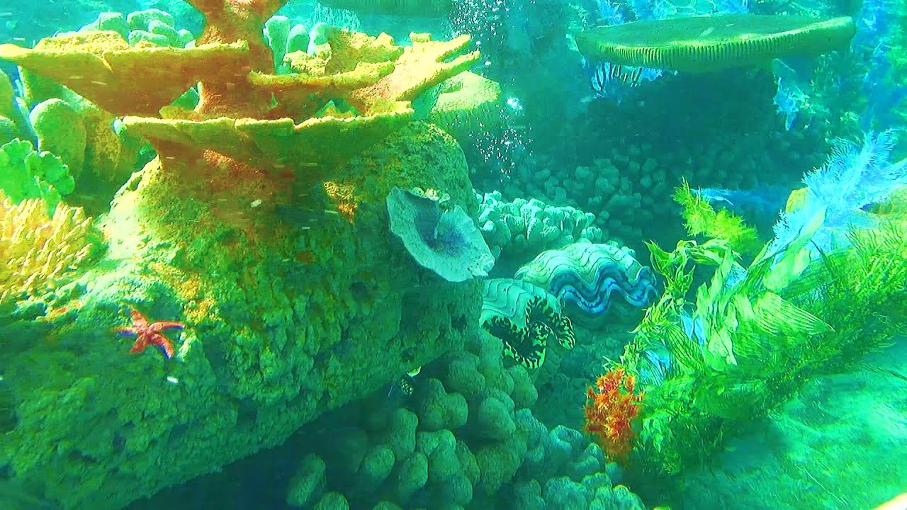 [HD] Finding Nemo Submarine Voyage (full on-ride) ● Disneyland ● 1080p ● 60fps ● Low light