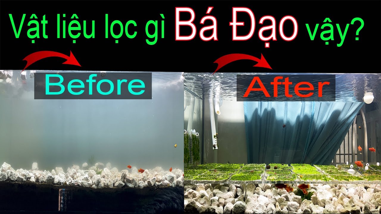 Vật liệu lọc thần thánh “CÂN
