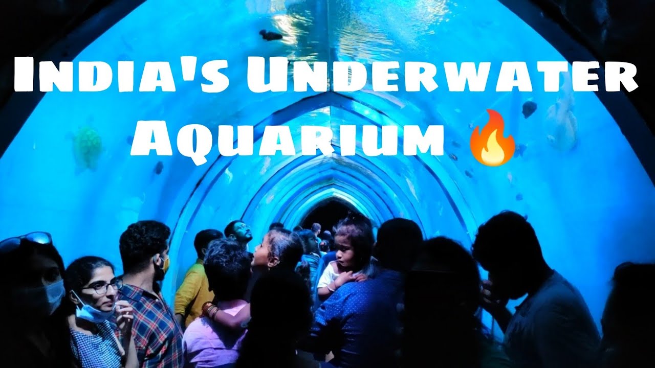 India's Under water Aquarium😍