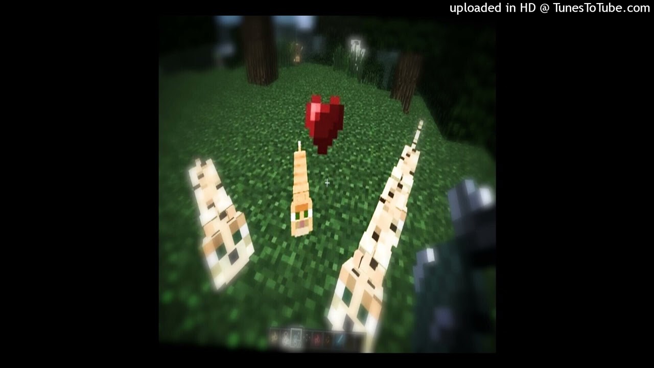 2022 xaviersobased type beat - 